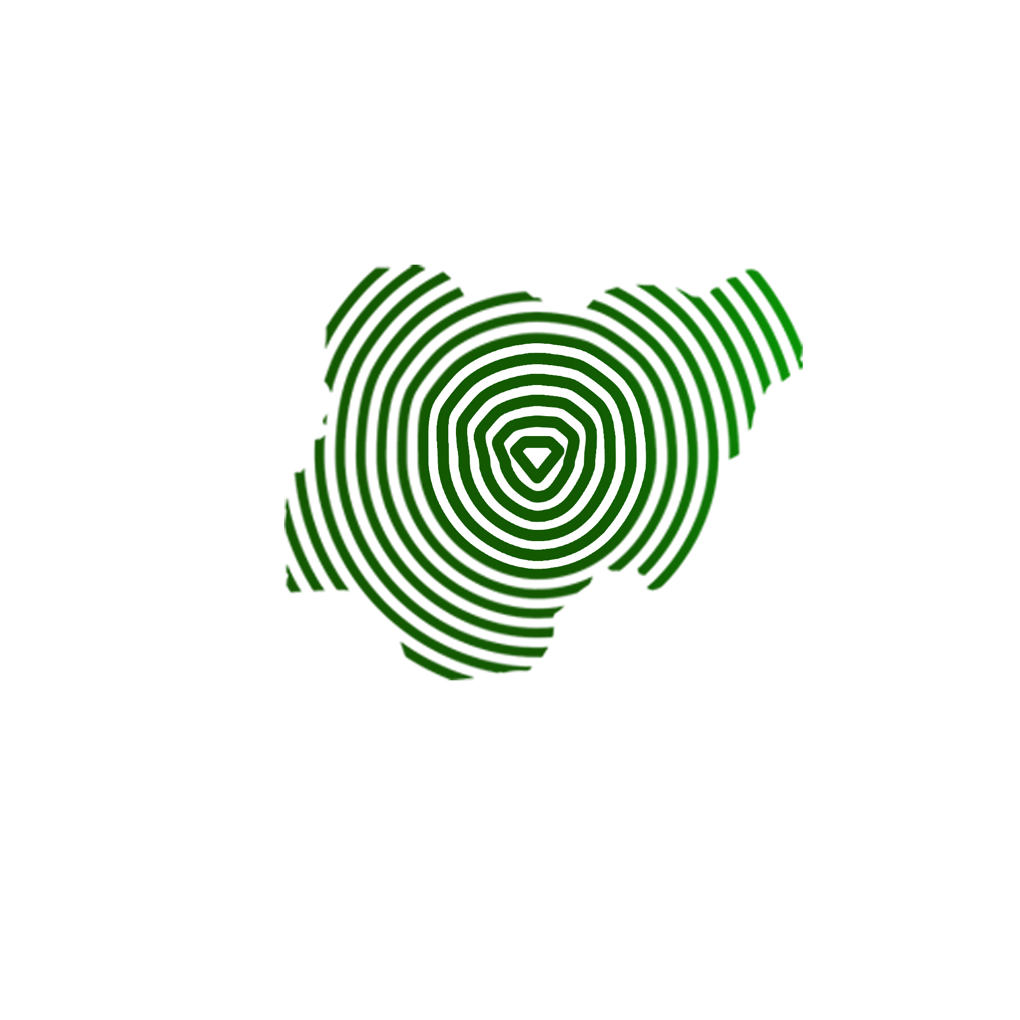 This Is Nigeria